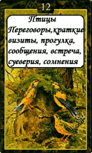Птицы