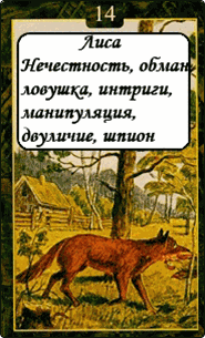 Лиса