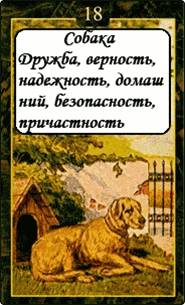 Собака