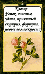 Клевер