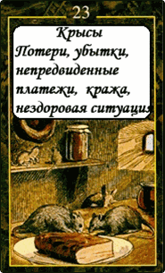 Крысы
