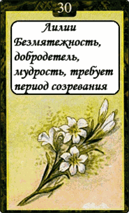 Лилии
