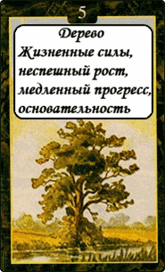 Дерево